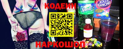гашик Кингисепп