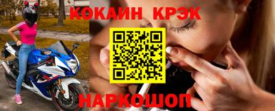 гашик Кингисепп