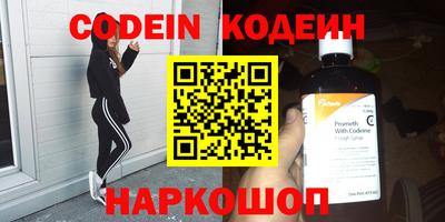 гашик Кингисепп