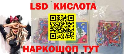 гашик Кингисепп