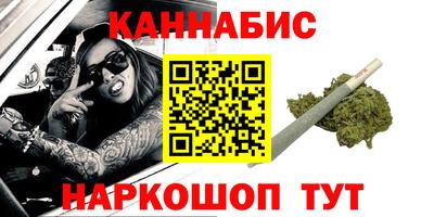 гашик Кингисепп