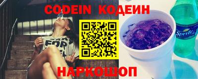 гашик Кингисепп