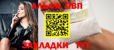гашик Кингисепп