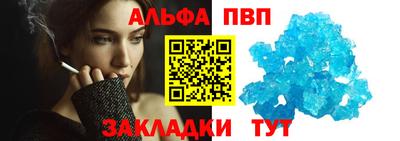 гашик Кингисепп
