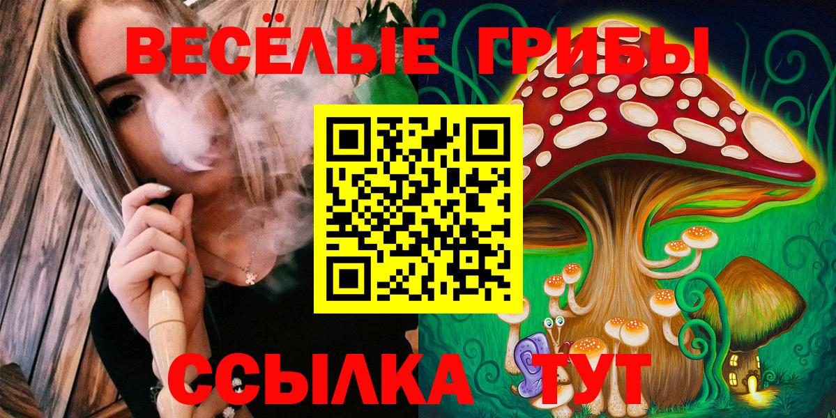 Псилоцибиновые грибы Psilocybine cubensis Коломна