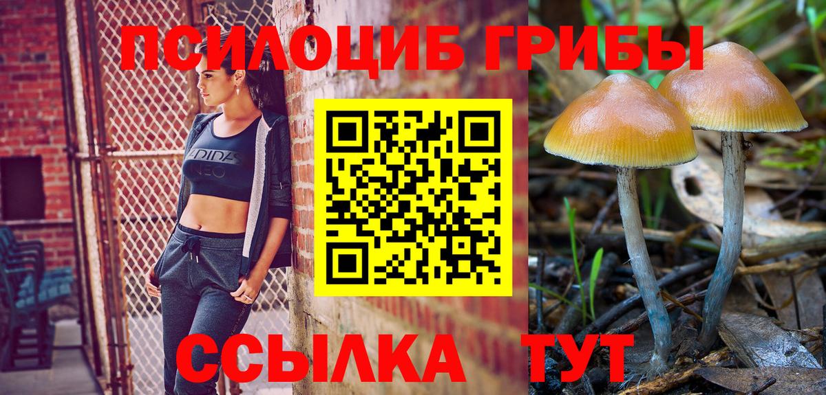 Псилоцибиновые грибы Cubensis  Вход с VPN  Коломна  Галлюциногенные грибы Psilocybine cubensis 
